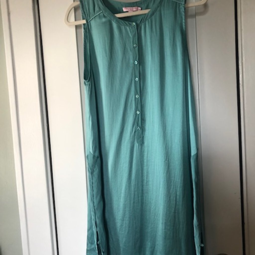 Calypso St. Barth Silk Tunic/Dress
